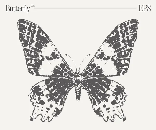 Impresionante Dibujo Blanco Negro Con Una Mariposa Insecto Polinizador Vital Ilustración De Stock