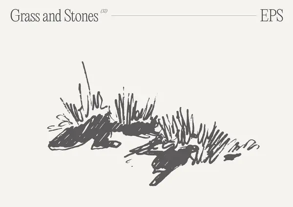 Monochromatyczna Sztuka Przedstawia Misternie Szczegółową Ilustrację Trawy Skał Nieskazitelnym Białym Wektory Stockowe bez tantiem