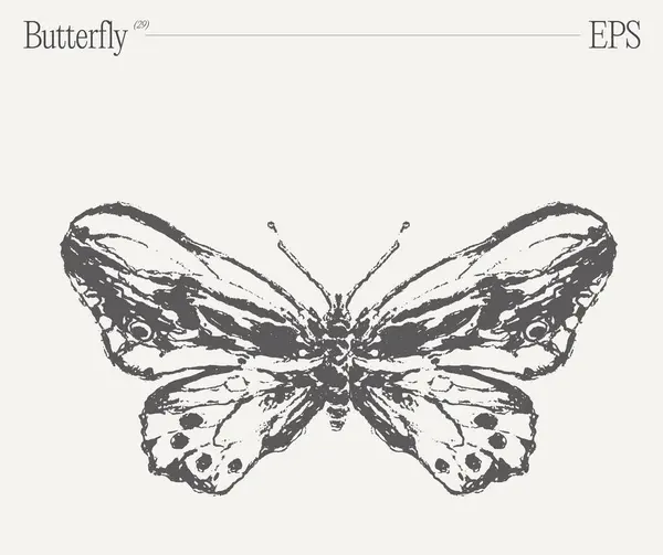 Ohromující Černobílá Kresba Motýlem Vitálním Opylovacím Hmyzem Nádherným Členovcem Nádhernými Royalty Free Stock Ilustrace