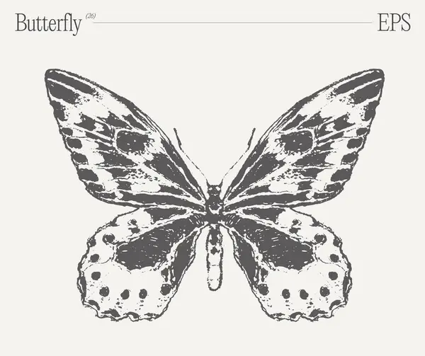 Ohromující Černobílá Kresba Motýlem Vitálním Opylovacím Hmyzem Nádherným Členovcem Nádhernými Stock Ilustrace