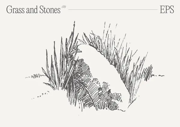 Монохроматическое Произведение Искусства Изображает Замысловато Детализированную Иллюстрацию Травы Камней Нетронутом Векторная Графика