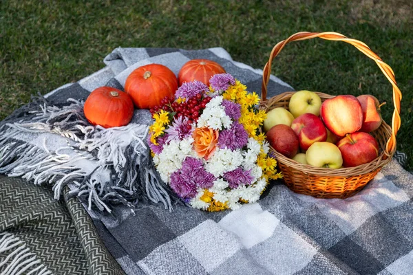 Cozy composition of autumn picnic in the park. Rustic decor with ripe red apples, pumpkins, plaid and flowers