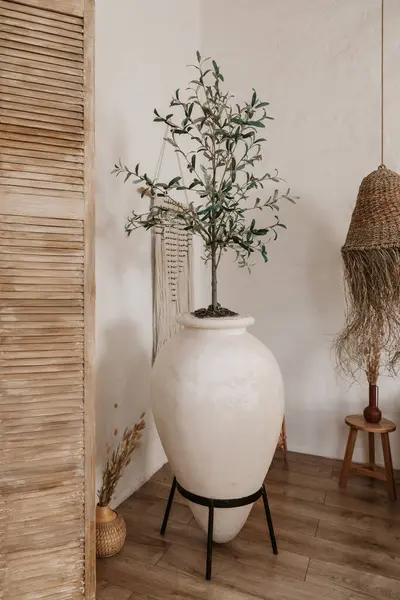 길쌈된 나무로 Macrame 식물을 간단한 디자인 — 스톡 사진