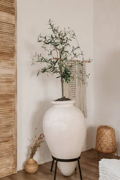 編まれたランプ 木のシャッター マクラメの装飾および植物が付いている白い単純なワビのベッドルームの内部の設計 ストック写真
