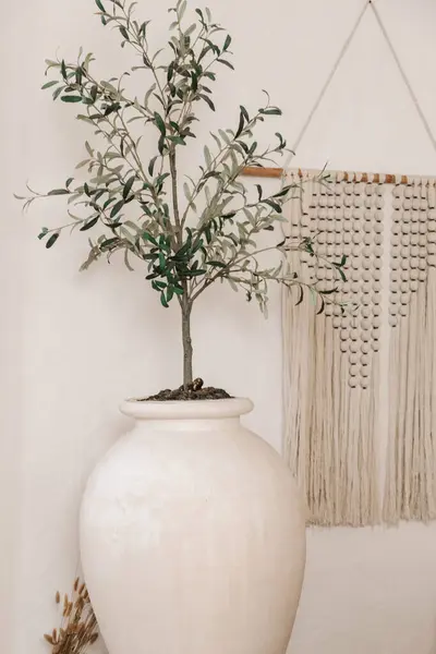 白い単純なワビのインテリアデザイン 壁にマクラメの装飾と白い鍋の植物 ロイヤリティフリーのストック写真