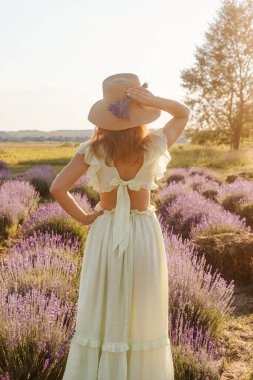 Uzun elbiseli ve lavanta tarlasında hasır şapkalı güzel bir kadının arka manzarası.