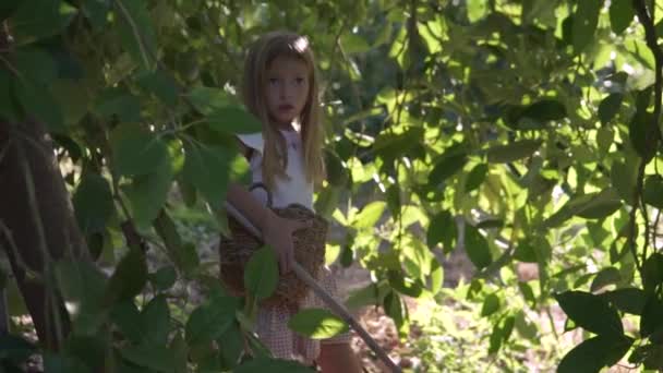 Liten Flicka Plockar Frukt Ekologisk Fruktträdgård Turkiet — Stockvideo