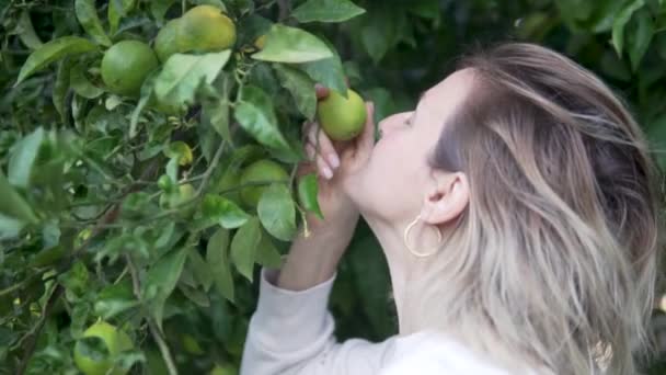 Woman Smells Lemon Tree Close Slow Motion — Stock Video