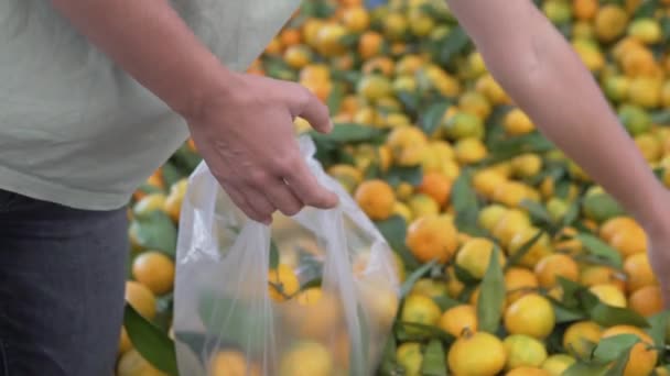 Eine Frau Holt Auf Einem Wochenendmarkt Mandarinen Einer Tüte Türkei — Stockvideo