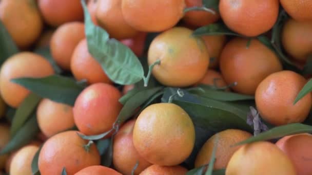Mnóstwo Dojrzałych Pomarańczy Rynku Owoców Turcji — Wideo stockowe