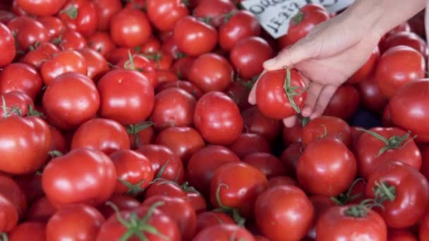 Comprador Escolhe Tomates Mercado Vegetais — Vídeo de Stock