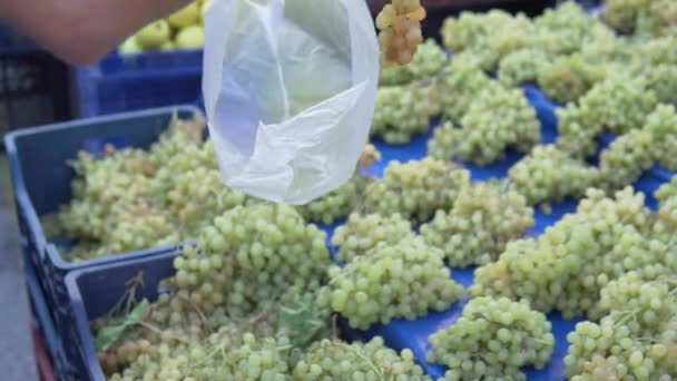 男人在农贸市场上买葡萄 一个男人的手把一把葡萄放在塑料袋里 — 图库视频影像