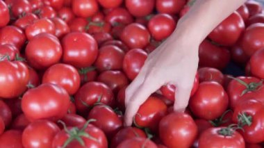Alıcı marketten olgun kırmızı domatesler alır..