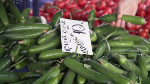 Gesichtsloser Legt Gemüse Plastiktüte Bauernmarkt Käufer Wählt Gurken Zum Kauf — Stockvideo