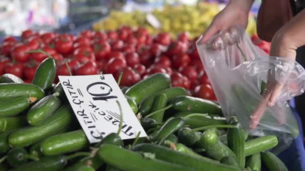 Mercado Agricultores Turquía Comprador Elige Pepinos Vitrina — Vídeos de Stock