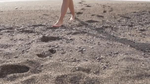 Γυναικεία Πόδια Περπατούν Κατά Μήκος Μιας Αμμώδους Παραλίας — Αρχείο Βίντεο