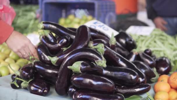 Comprador Escolhe Berinjelas Agrícolas Mercado Vegetais Turquia Alanya — Vídeo de Stock