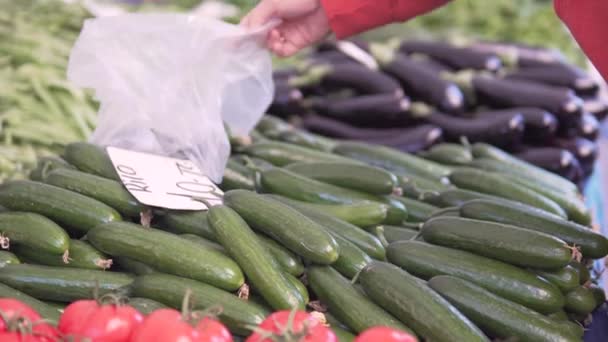 Een Gezichtloze Persoon Verzamelt Komkommerzakken Een Plastic Zak Markt — Stockvideo