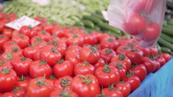 구매자는 여름에 시장에 자루에서 맛있는 토마토를 집는다 — 비디오