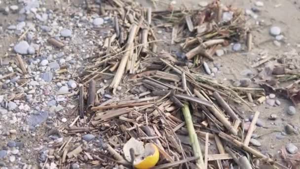 Müll Strand Meer Das Konzept Einer Schmutzigen Küstenlinie — Stockvideo