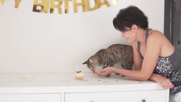 猫的生日 女人给猫喂食纸杯蛋糕 并祝贺她的宠物过生日 — 图库视频影像