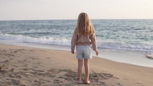 Beautiful Little Girl Raises Her Hands Happiness Sea — Video