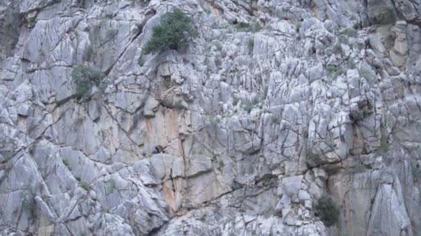 Close Slow Motion High Rock Sparse Green Bushes Turkey Kemer — Stock Video