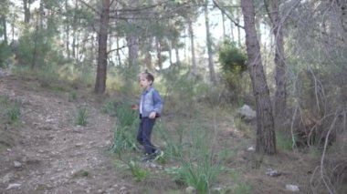 Young children, a boy and a girl walk through a coniferous forest in Turkey in the spring.