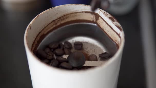 閉じる コーヒー豆は コーヒーグラインダーに注ぎます — ストック動画