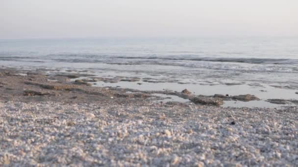Focus Rocks Sea Moves Away Shore Beach Alanya Earthquake — стокове відео