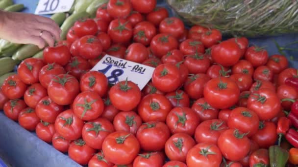 Buyer Chooses Tomatoes Street Market Turkey — Stockvideo