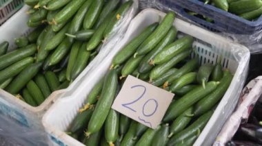 Fresh farm cucumbers lie in plastic baskets at a vegetable market in Turkey.