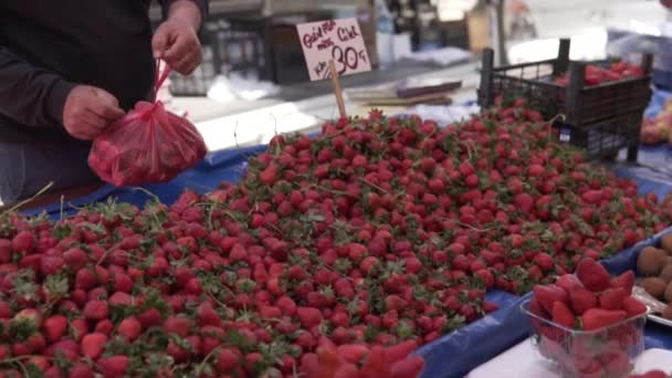 Seller Market Gives Buyer Package Fresh Strawberries Buyer Pays Money — Stock Video