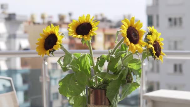 Букет Соняшників Стоїть Вазі Балконі Тлі Будинків — стокове відео