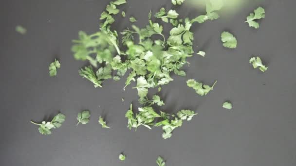 Slow Shooting Parsley Leaves Slowly Fall Black Background — Stock Video