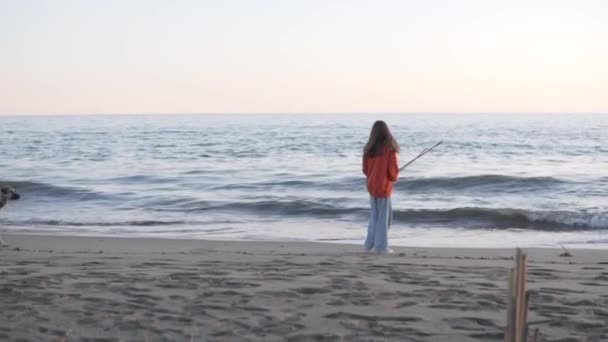 海滩上的流浪狗接近一个寂寞的少女 土耳其 Alanya — 图库视频影像