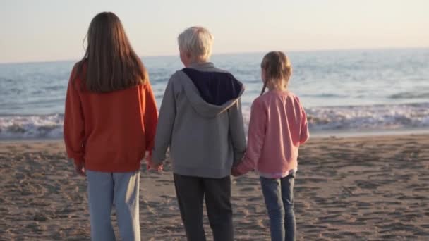 Troje Dzieci Trzyma Się Ręce Patrzy Morze Widok Tyłu Powolny — Wideo stockowe