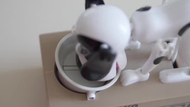 有趣的小猪银行 一只狗吃盘子里的钱 一个人把硬币放在一个电子蓄热器里 做成一只狗和一个碗的形状 — 图库视频影像