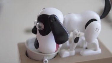 Elektronik domuz kumbarası köpeği bir fincan altlığından yiyor, yakın plan..