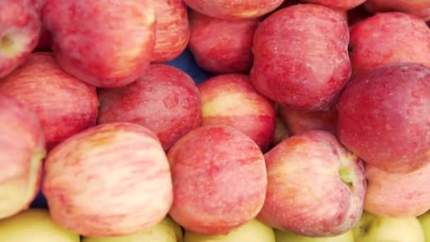 Zbliżenie Gabloty Czerwonymi Zielonymi Jabłkami Targu Owoców — Wideo stockowe