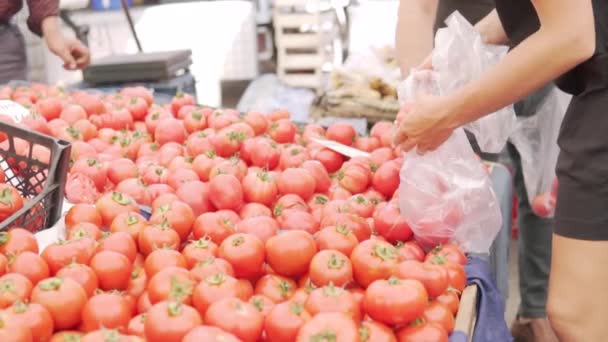 Eine Frau Kauft Tomaten Auf Einem Bauernmarkt Der Türkei — Stockvideo