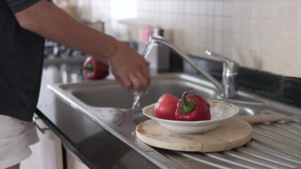 여자가물 수돗물 아래서 토마토를 씻는다 — 비디오