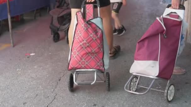 トルコのファーマーズマーケットを歩くカートを持つ女性 Alanya — ストック動画