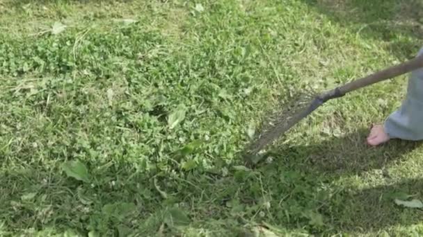 クローズアップ 子供は夏にレーキで芝生に草を集める — ストック動画