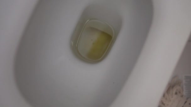 Svuotare Urina Nel Water Nessuna Gente Primo Piano — Video Stock