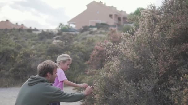 Tata Córka Patrząc Krzak Kwiatami Podczas Spaceru Parku — Wideo stockowe