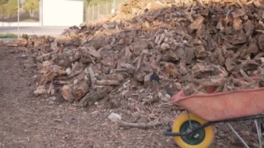 Bir adam at arabasında odun taşıyor..