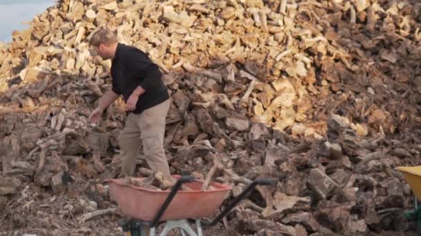 消防士が薪の倉庫で暖炉のための薪を集める — ストック動画