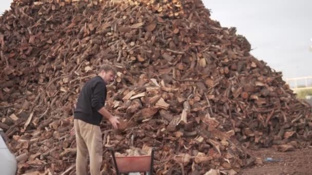 Mężczyzna Wybiera Najlepsze Drewno Opał Dużej Sterty Drewna Wózek — Wideo stockowe