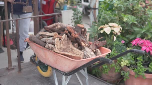 顧客は店の大規模な暖炉のための木のカートを量ります スペイン アリカンテ — ストック動画